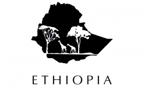 Эфиопия Сидамо Бале Маунтин, микролот, 200 гр.