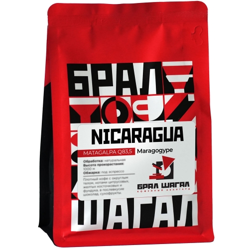 Nicaragua Matagalpa Scr. 19+ Maragogype